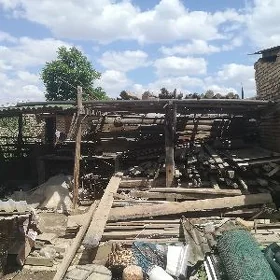 Лес черн потолок