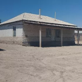 agac strapila