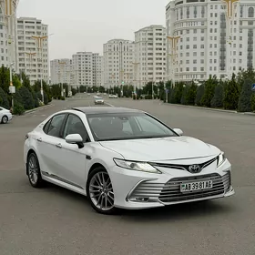 Toyota Camry 2019
