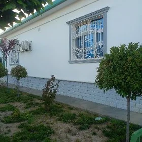 arenda jay arend kw taze zaman