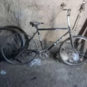 Ural tigiz