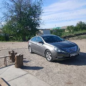 Hyundai Sonata 2010