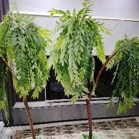 decor baglar