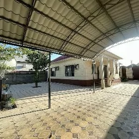 Arenda Coganly plan 5kom