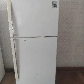 Lg haladelnik