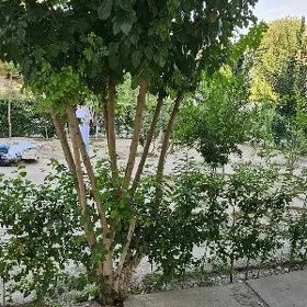 2mkr 3/1etaz 1komnat
