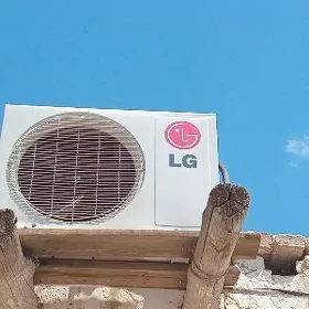 кандисанео