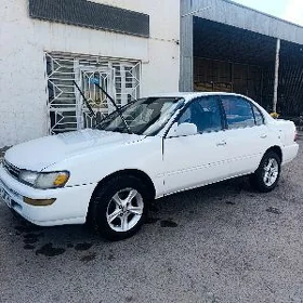 Toyota Corolla 1993