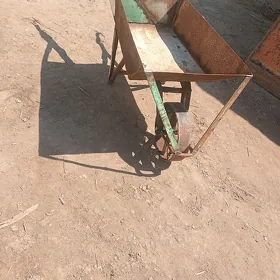 Arawa galtak
