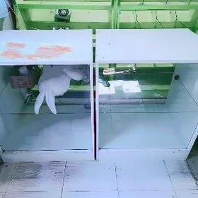 mebel pastafka