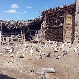 kepderi