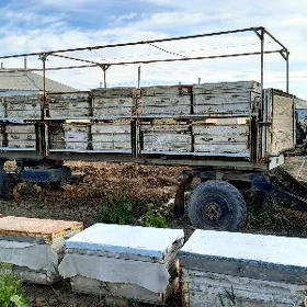 Ary teleşge