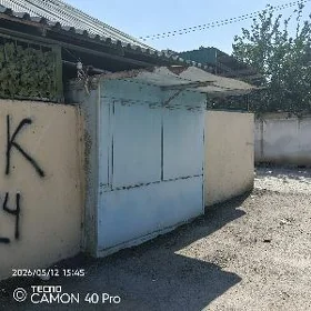 Saglyk daca