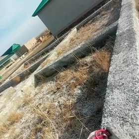Tayyn mellek yer