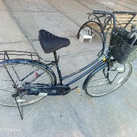 27 velik