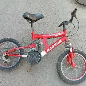 tigir gyssagly kici caga welik