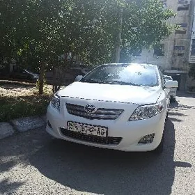 Toyota Corolla 2010
