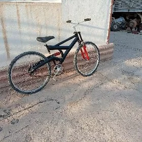 tigir