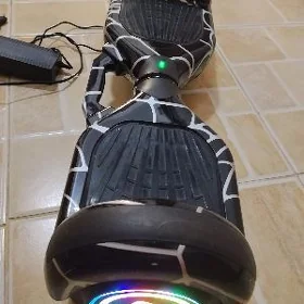 segway (tigir, kaykay)