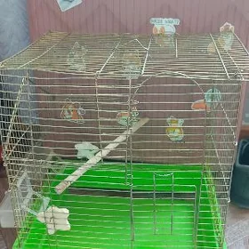 клетка