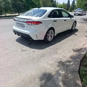 Toyota Corolla 2024