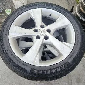 karolla disge pakrisga.17