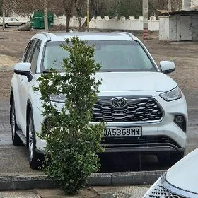 Toyota Highlander 2022