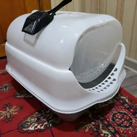 Pişik latogy, кошачий лоток.