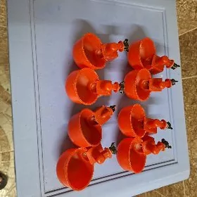 suw gap
