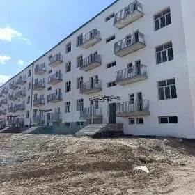 Änew polu elitka