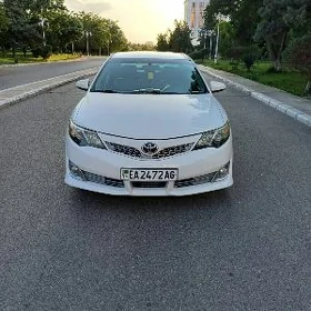Toyota Camry 2013