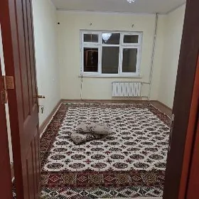 3 kom Mir7 amatly ipateka