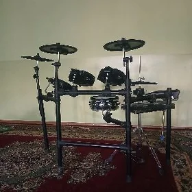 Baraban udarnik