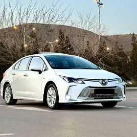 Toyota Corolla 2025