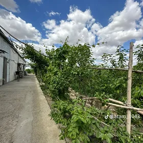 Bagçylyk