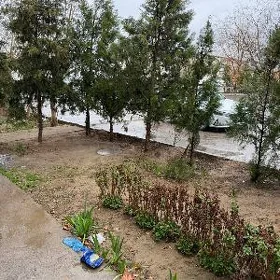 KAKA 30 GEKTAR MINDAL/FISTAŞKA
