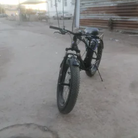 tigir