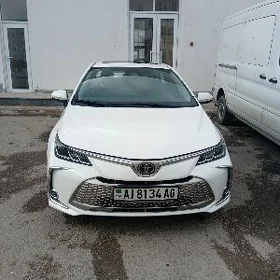 Toyota Corolla 2025