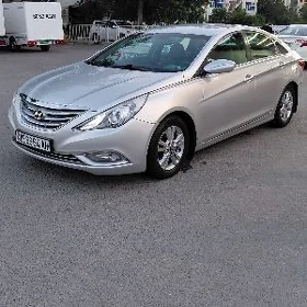 Hyundai Sonata 2010