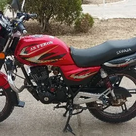 Fekon FK200-14G 2026
