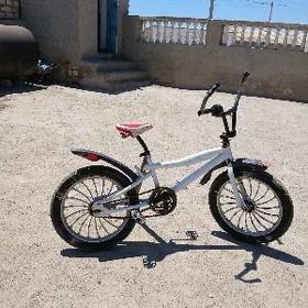 Paja aÿak