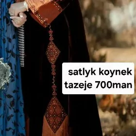SATLYK KOYNEK