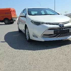 Toyota Corolla 2017