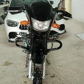 Fekon FK150-8G 2018