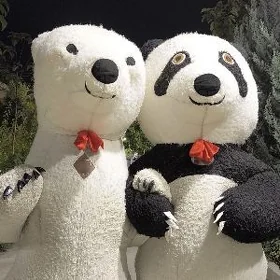 mişka satlyk ak ayy panda