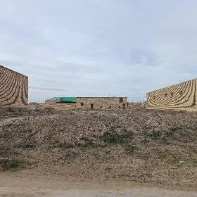 Coll mellek