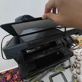 Epson 308