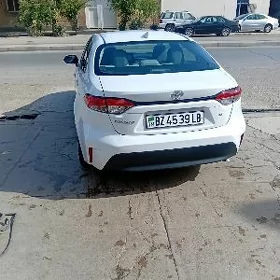 Toyota Corolla 2024