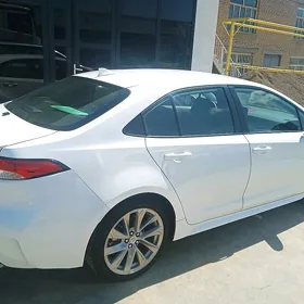 Toyota Corolla 2024
