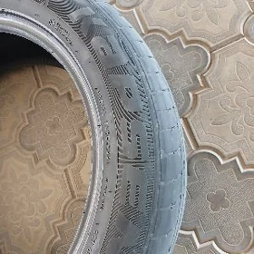 Lexsus tigir